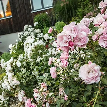 Apartmán Waelder Vakanz - Urlaubsdomizil Fuer Geniesser *